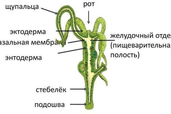 Что такое кракен шоп